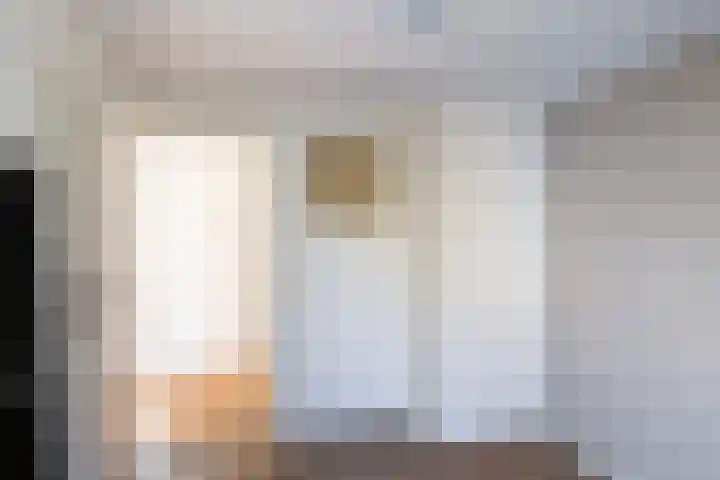 Vossemeersepoort 26 Tholen thumbnail 24