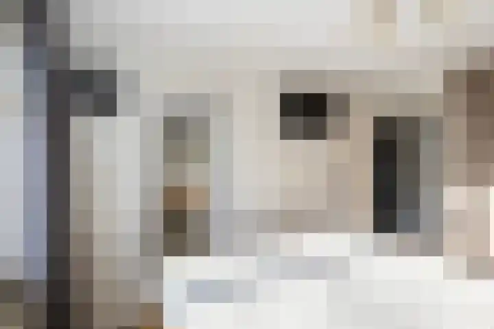 Vossemeersepoort 26 Tholen thumbnail 29