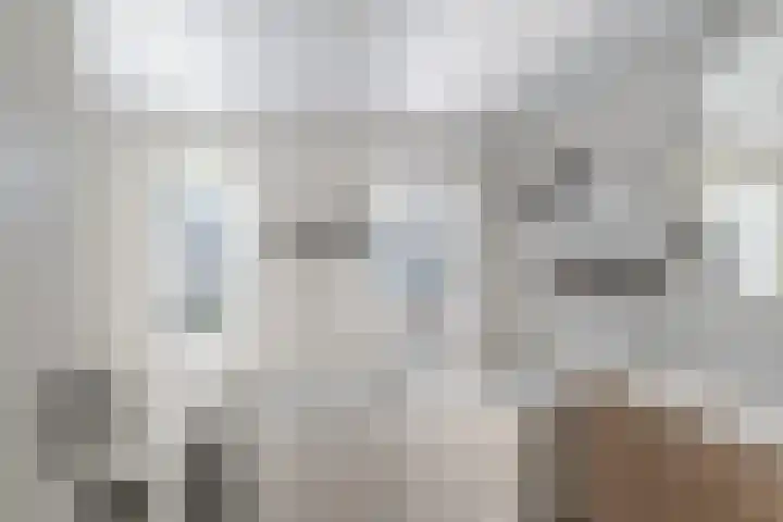 Vossemeersepoort 26 Tholen thumbnail 31