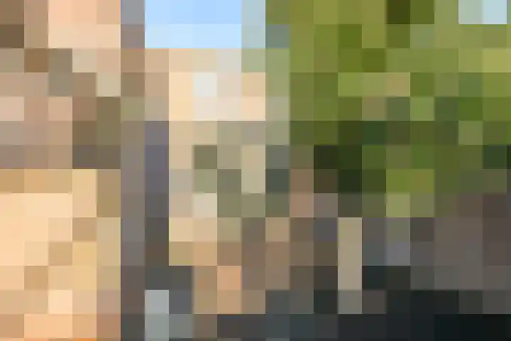 Vossemeersepoort 26 Tholen thumbnail 34