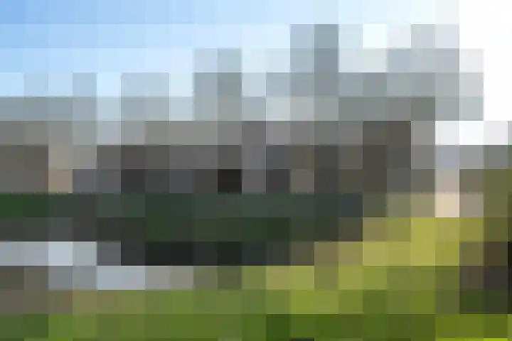 Vossemeersepoort 26 Tholen thumbnail 39