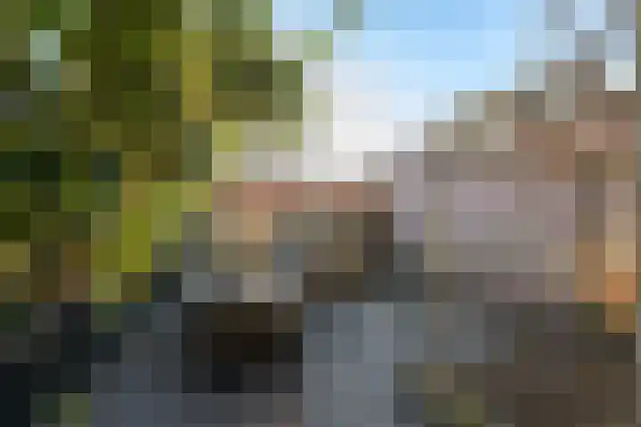 Vossemeersepoort 26 Tholen thumbnail 4