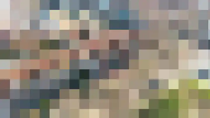 Vossemeersepoort 26 Tholen thumbnail 41