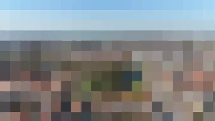 Vossemeersepoort 26 Tholen thumbnail 42