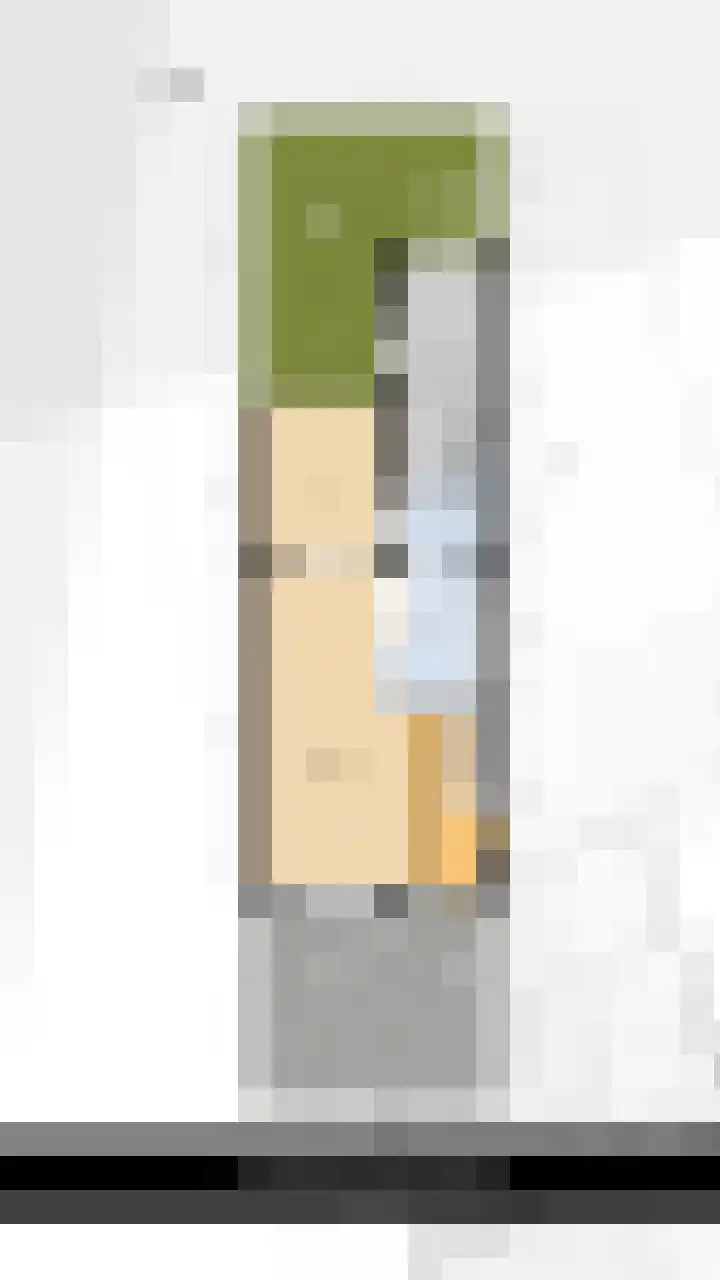 Vossemeersepoort 26 Tholen thumbnail 45