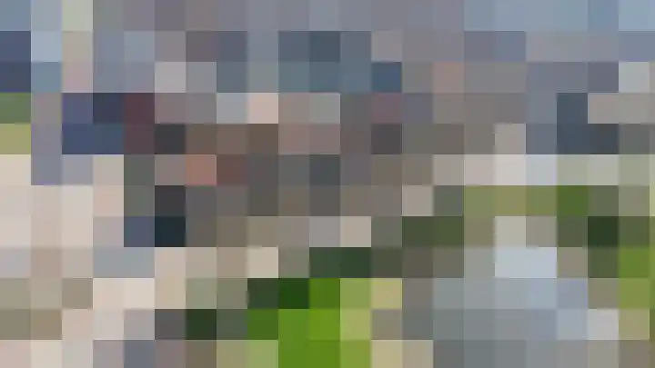 Vossemeersepoort 26 Tholen thumbnail 5