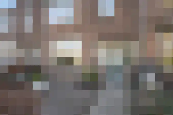 Vossemeersepoort 26 Tholen thumbnail 6