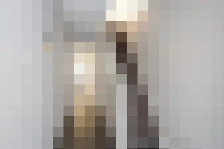 Vossemeersepoort 26 Tholen thumbnail 7