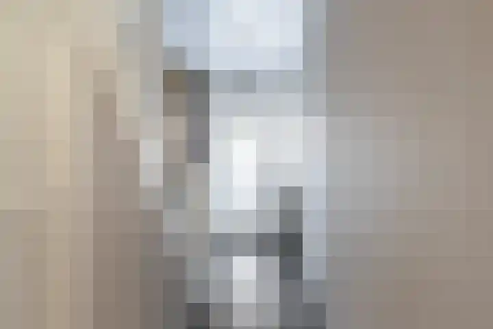 Vossemeersepoort 26 Tholen thumbnail 8