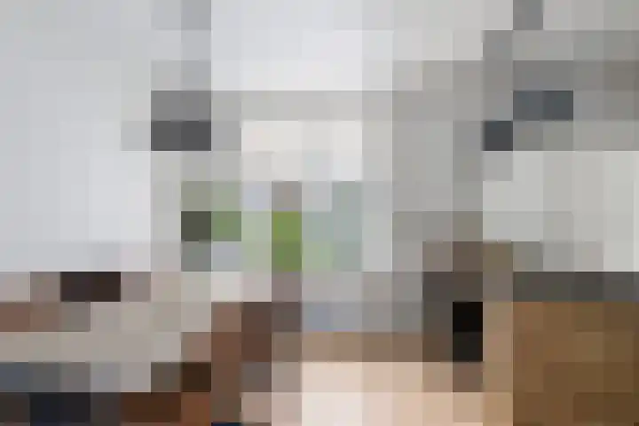 Vossemeersepoort 26 Tholen thumbnail 9