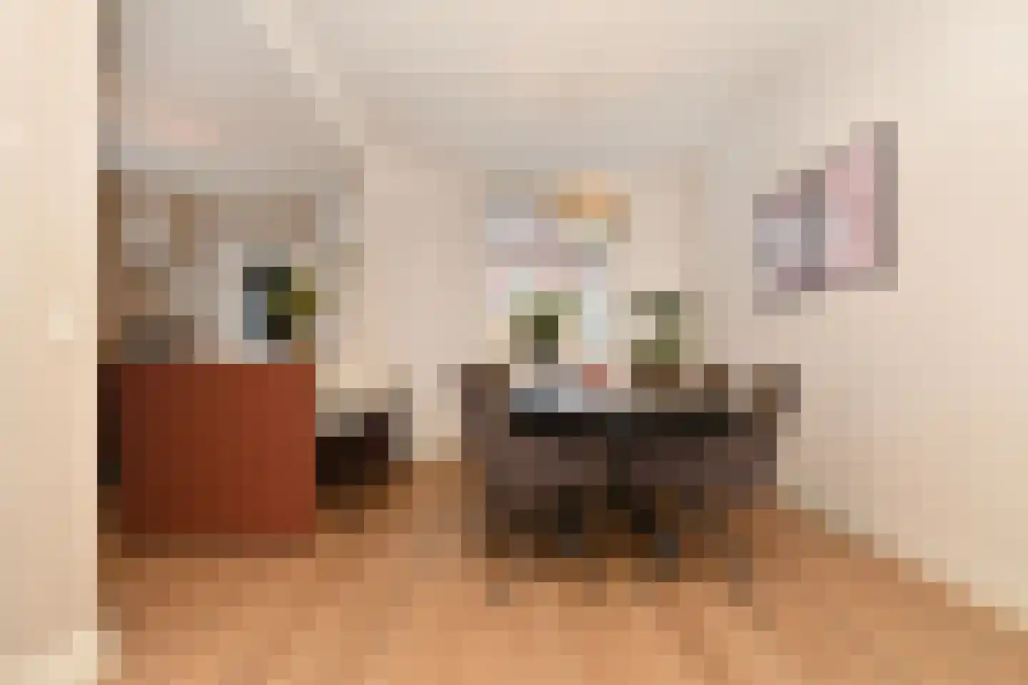 Vossemeersepoort 36 Tholen thumbnail 11