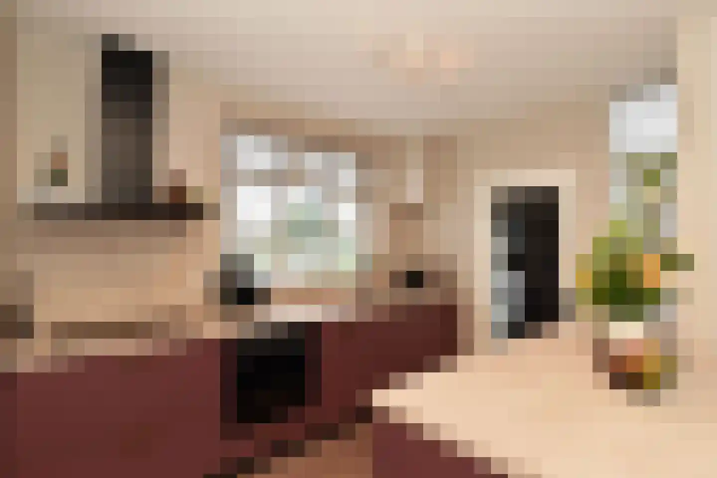 Vossemeersepoort 36 Tholen thumbnail 12