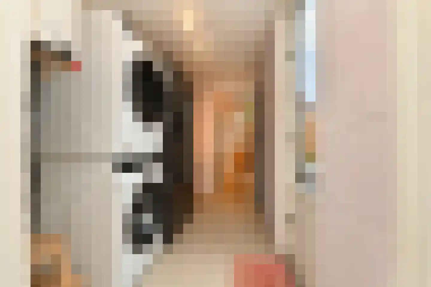 Vossemeersepoort 36 Tholen thumbnail 13