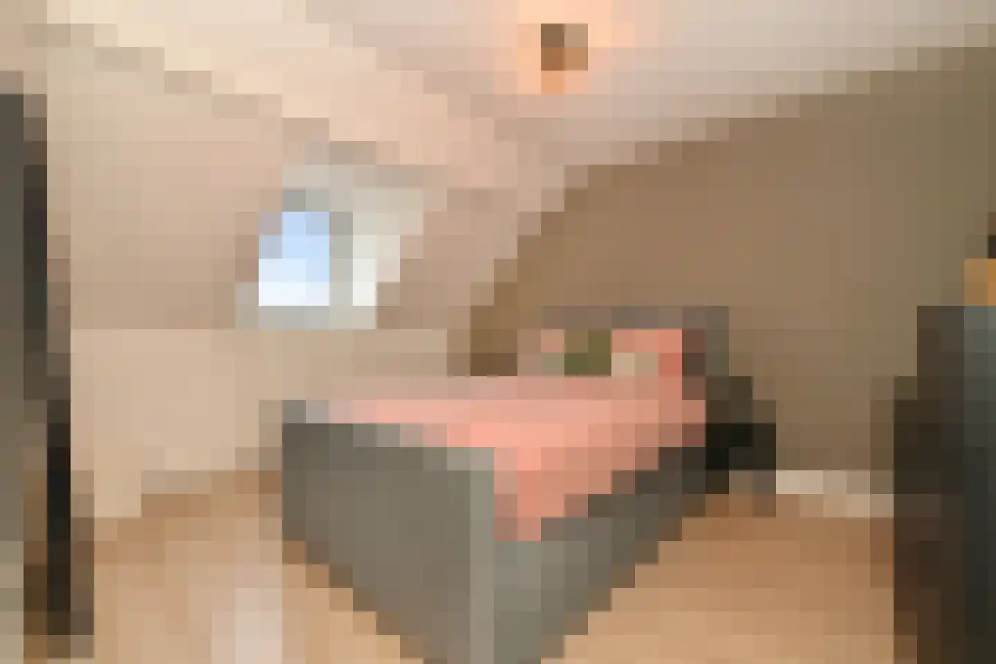 Vossemeersepoort 36 Tholen thumbnail 18