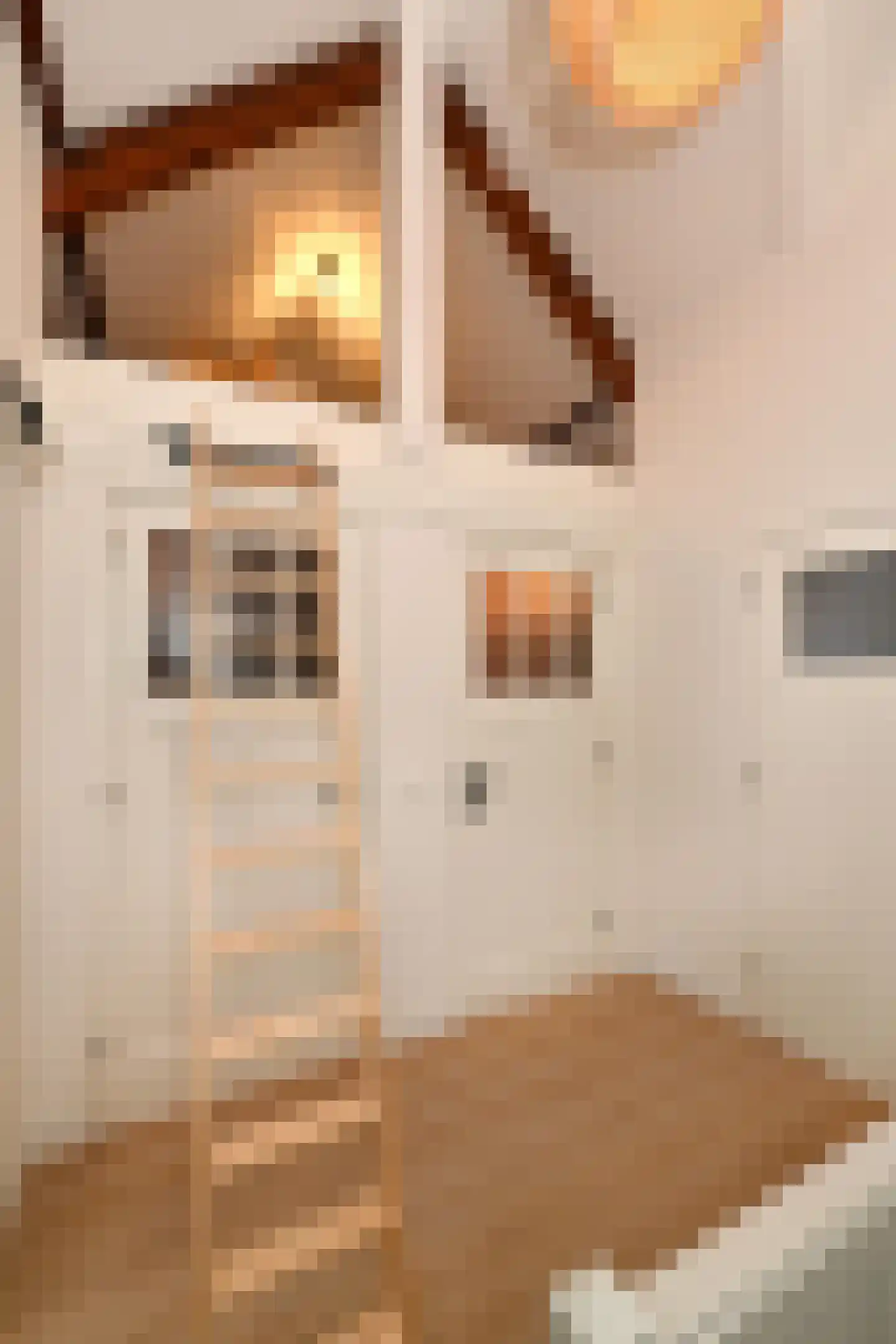 Vossemeersepoort 36 Tholen thumbnail 22
