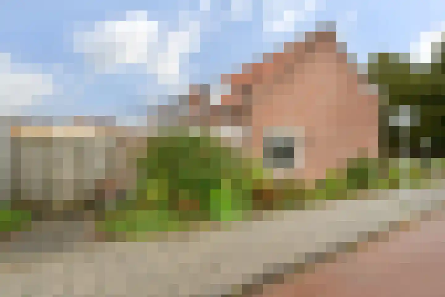 Vossemeersepoort 36 Tholen thumbnail 24