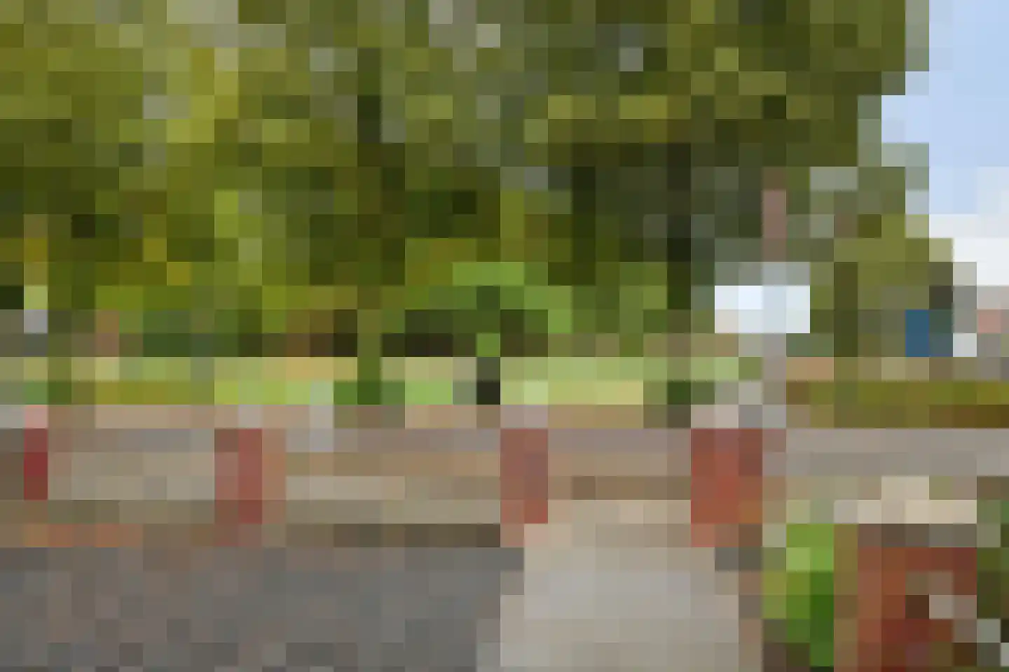 Vossemeersepoort 36 Tholen thumbnail 29