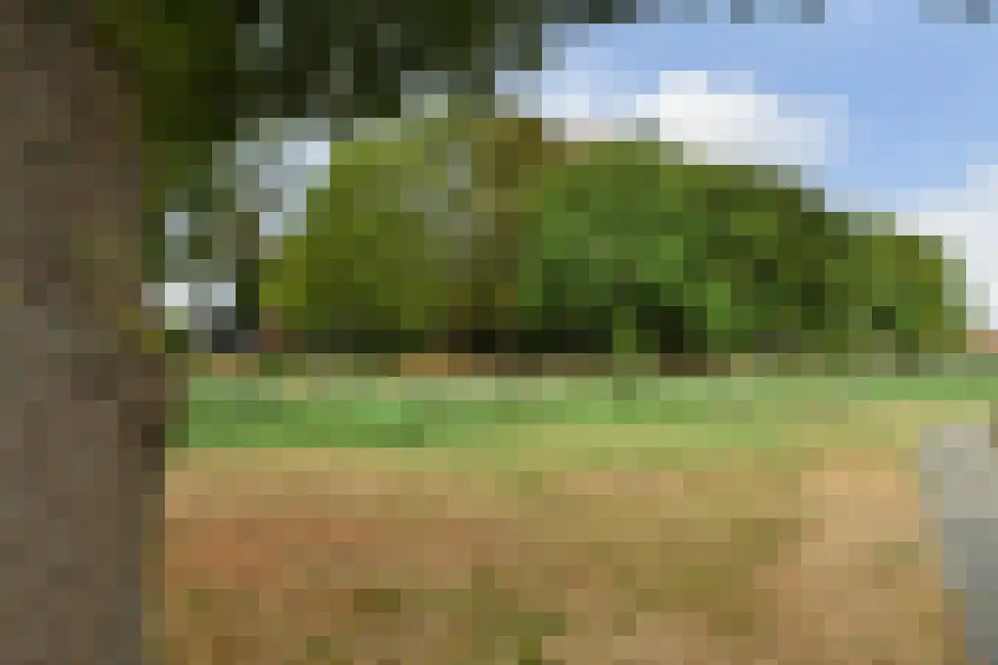 Vossemeersepoort 36 Tholen thumbnail 30