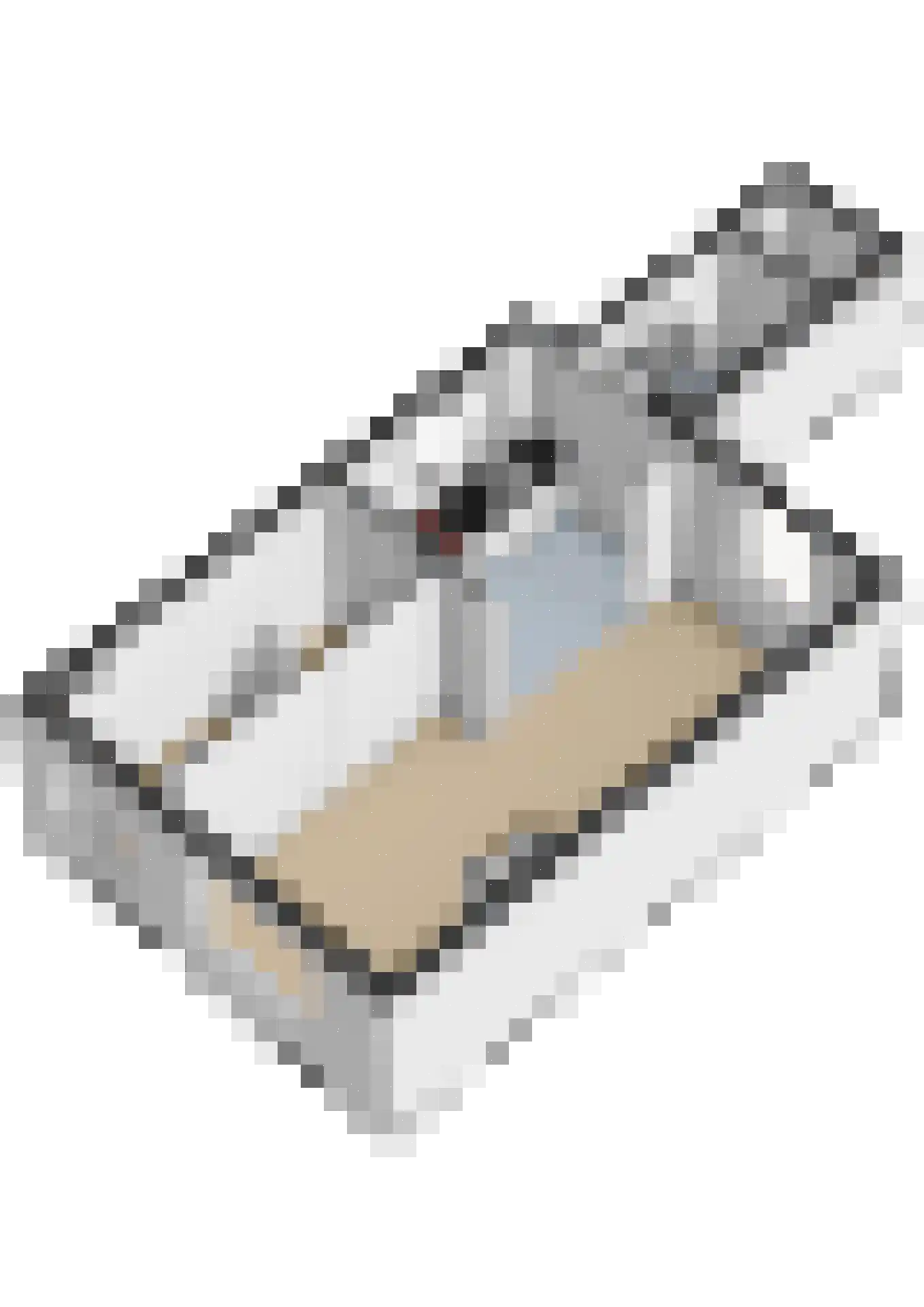 Vossemeersepoort 36 Tholen thumbnail 39