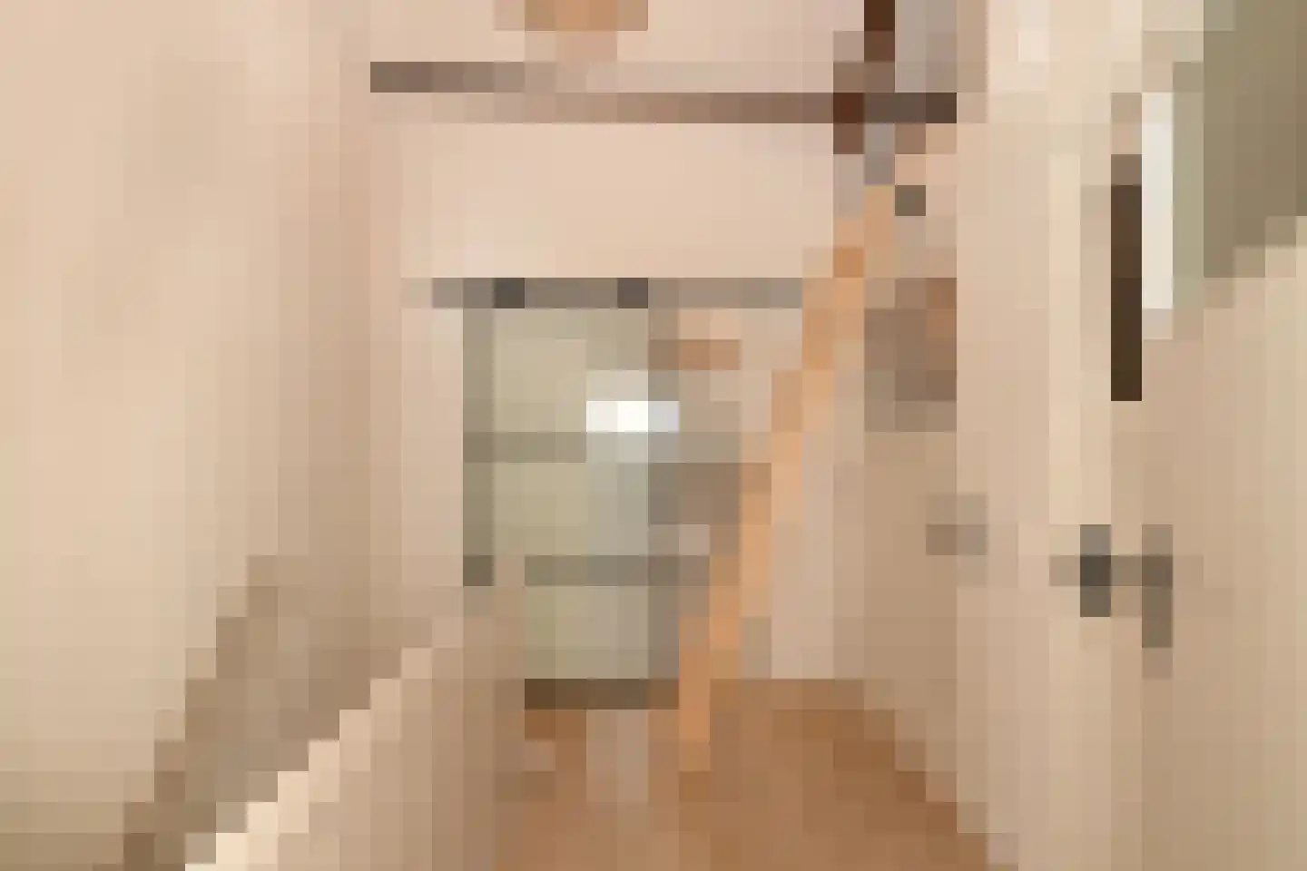Vossemeersepoort 36 Tholen thumbnail 4