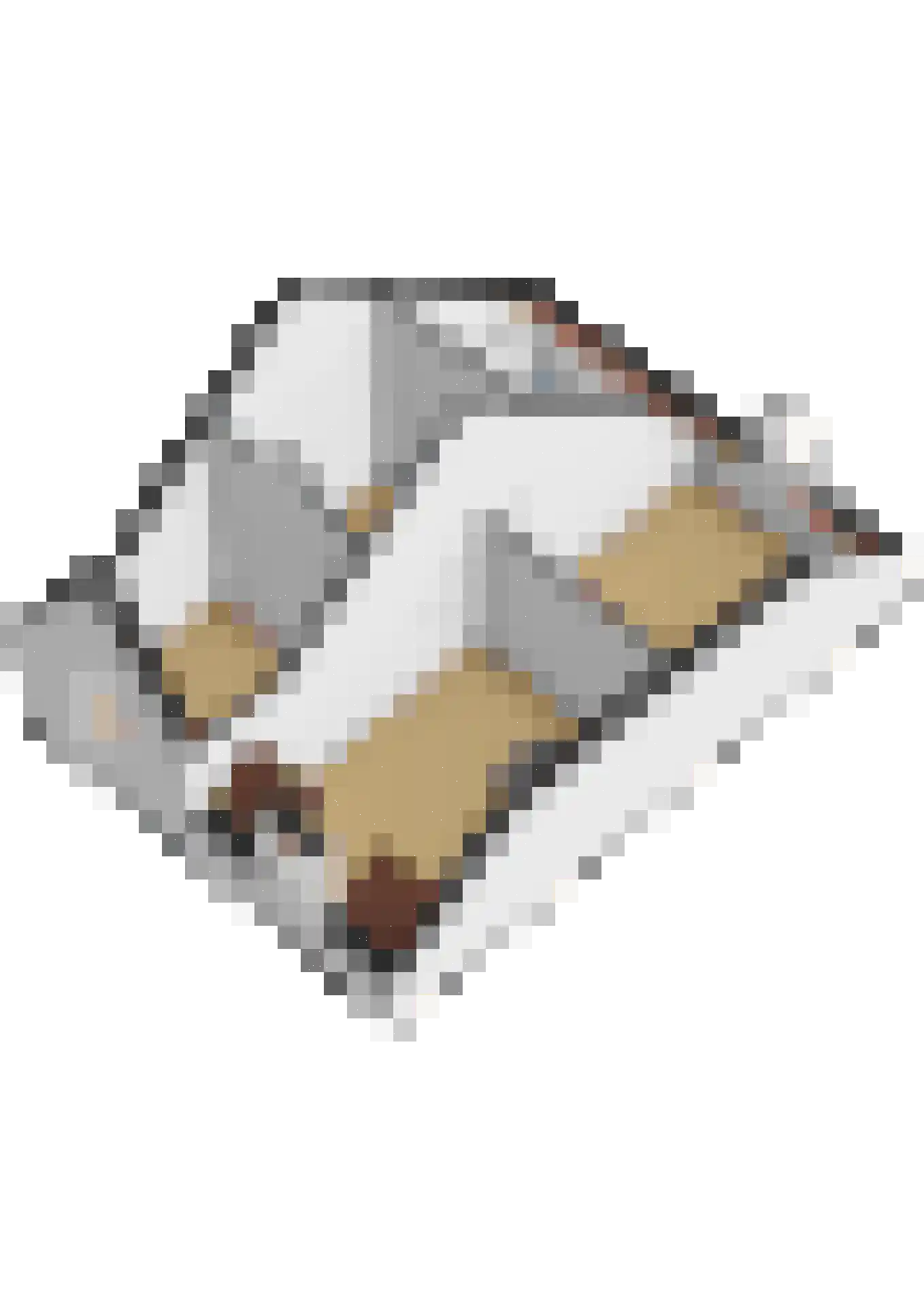 Vossemeersepoort 36 Tholen thumbnail 41