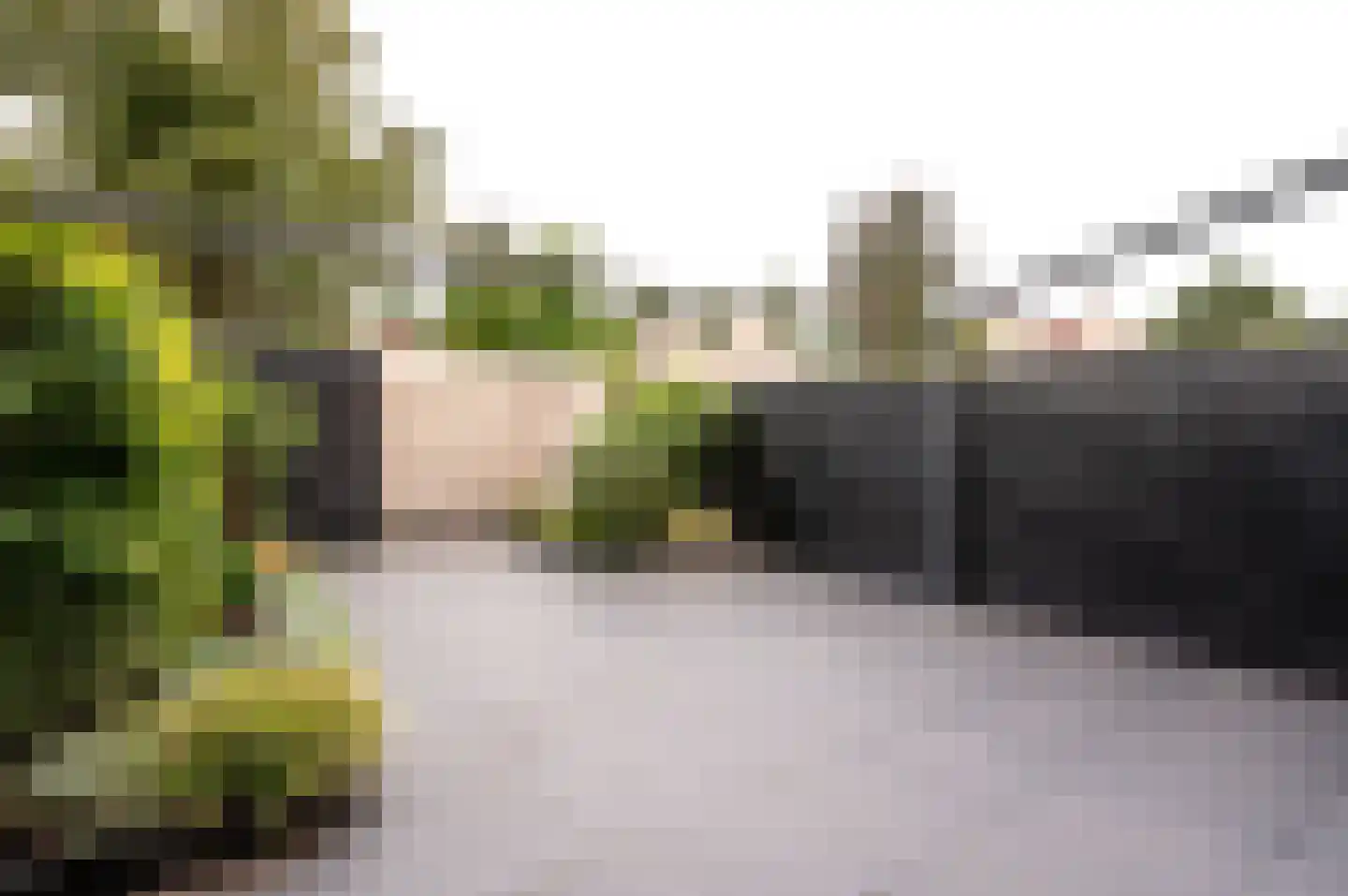 Vossemeerstraat 25 Lelystad thumbnail 31