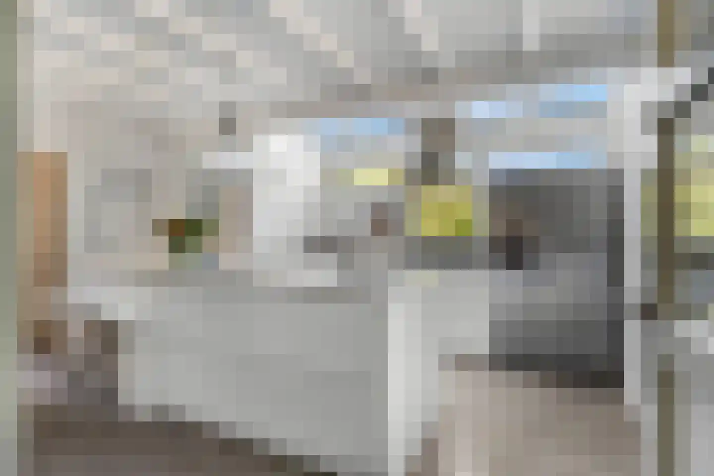 Vossenakker 1 B Ede thumbnail 11