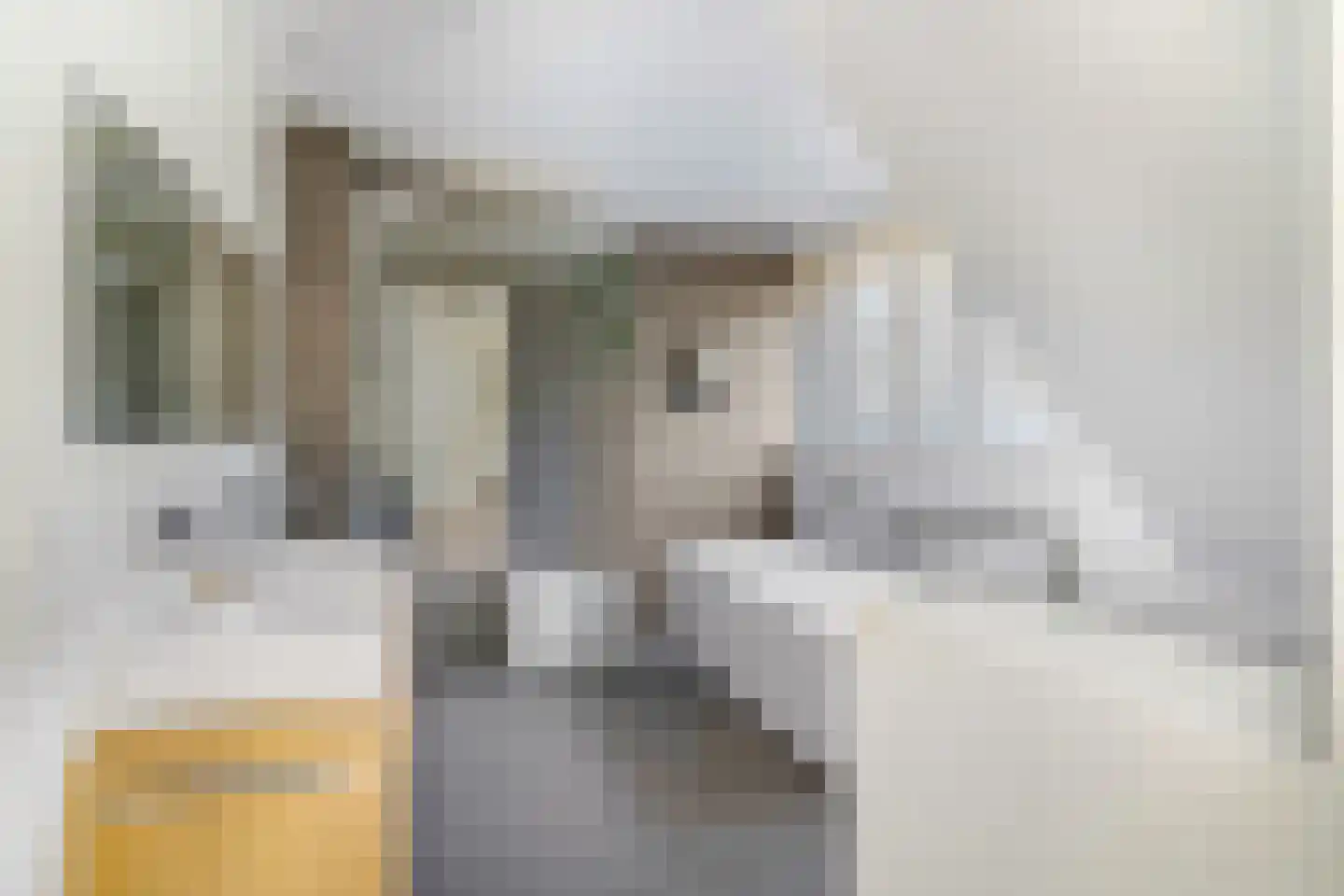 Vossenakker 1 B Ede thumbnail 22