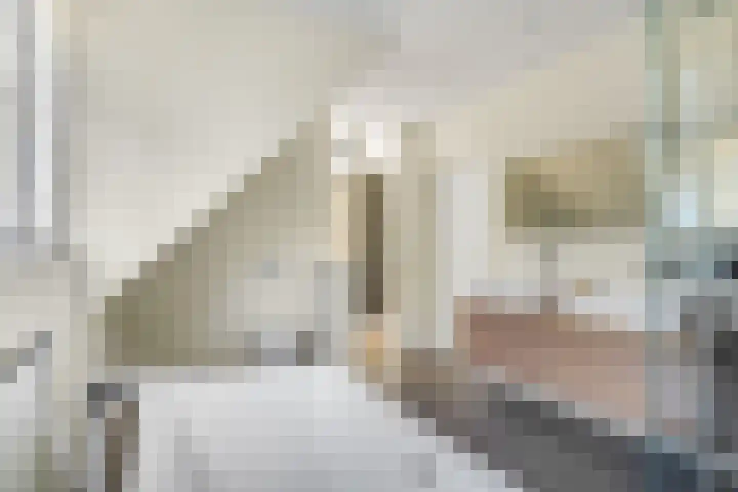 Vossenakker 1 B Ede thumbnail 23