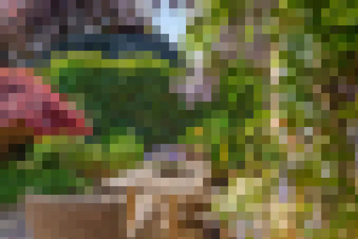 Vossenakker 1 B Ede thumbnail 44