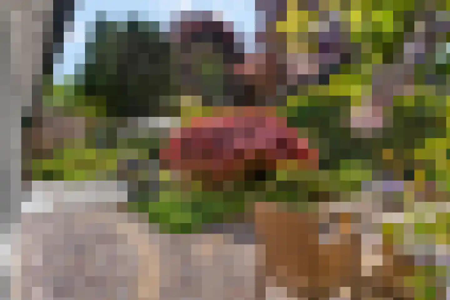 Vossenakker 1 B Ede thumbnail 45