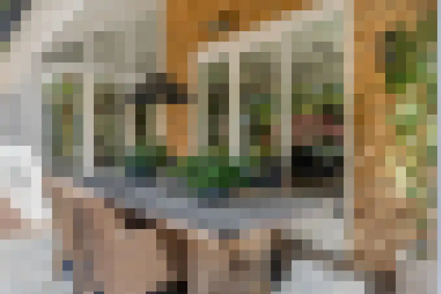 Vossenakker 1 B Ede thumbnail 51