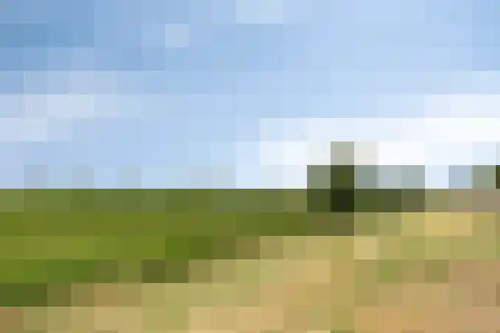 Vossenakker 31 Well thumbnail 41