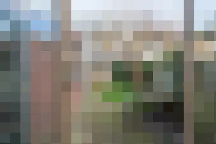 Vossenakkers 31 Heiloo thumbnail 10