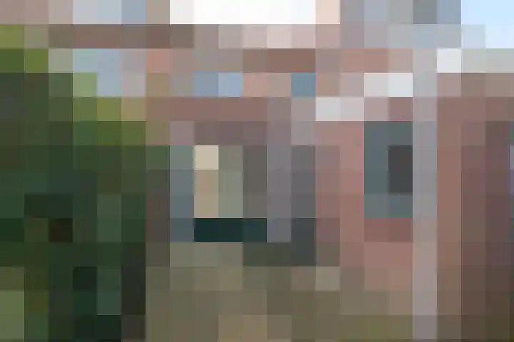 Vossenakkers 31 Heiloo thumbnail 35