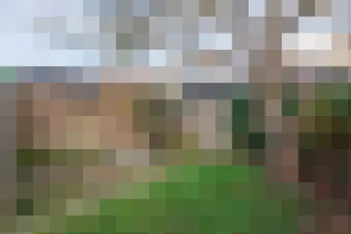 Vossenakkers 31 Heiloo thumbnail 36