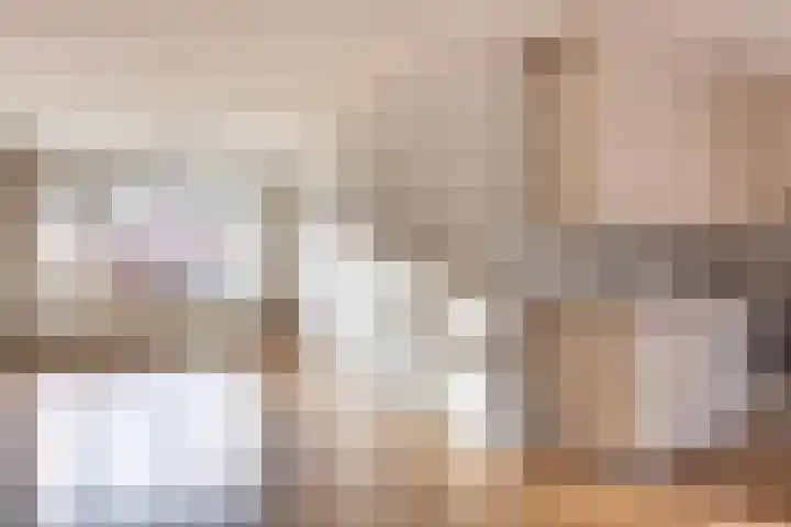 Vossenakkers 31 Heiloo thumbnail 4