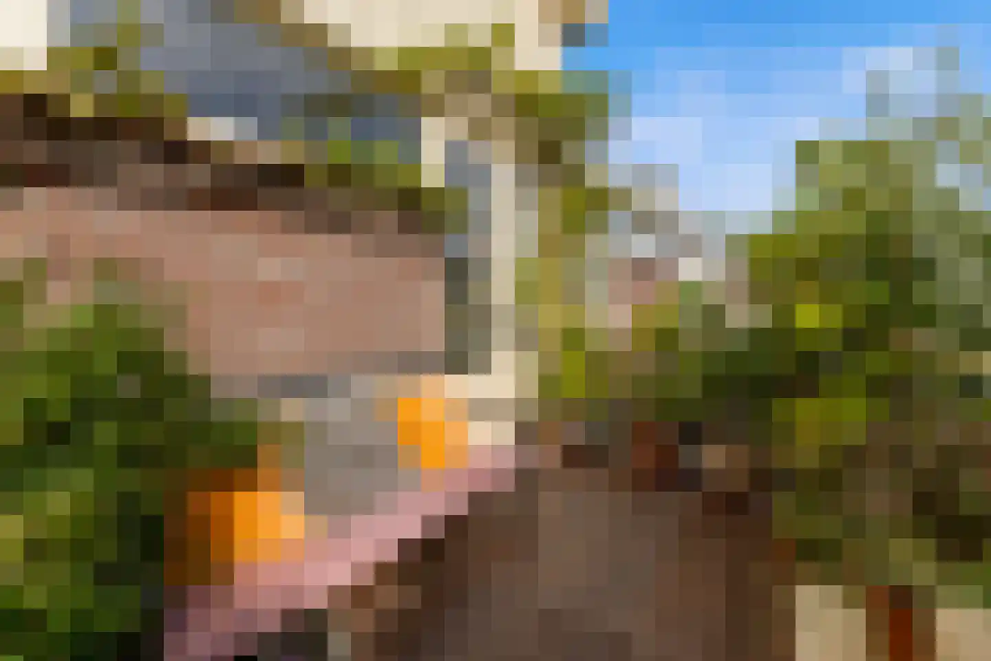 Vossenakkers 40 Heiloo thumbnail 21
