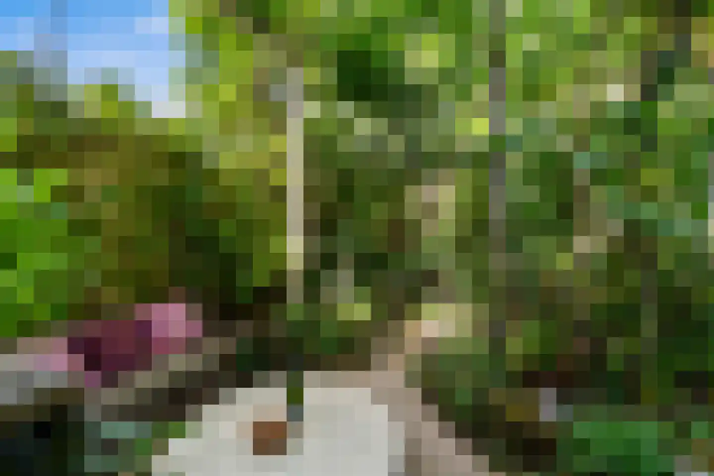 Vossenakkers 40 Heiloo thumbnail 36