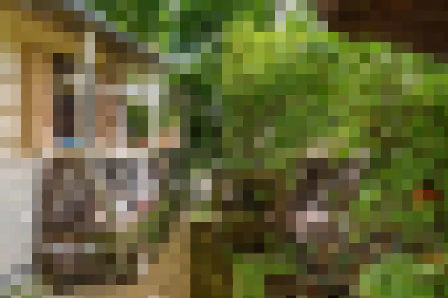 Vossenakkers 40 Heiloo thumbnail 47