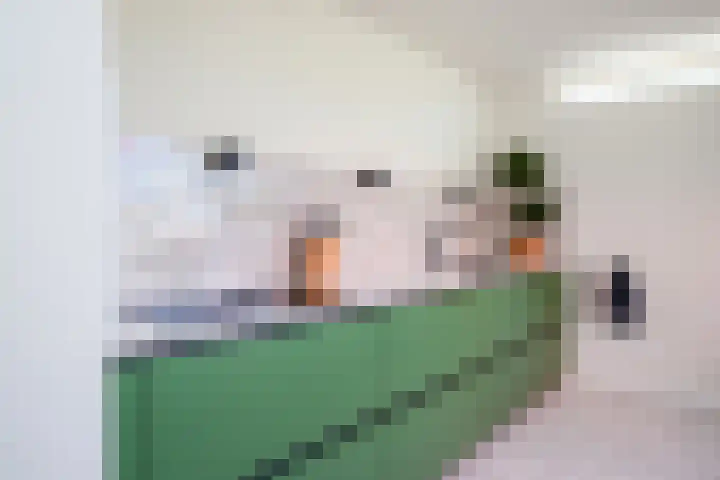 Vossenakkers 8 Heiloo thumbnail 20