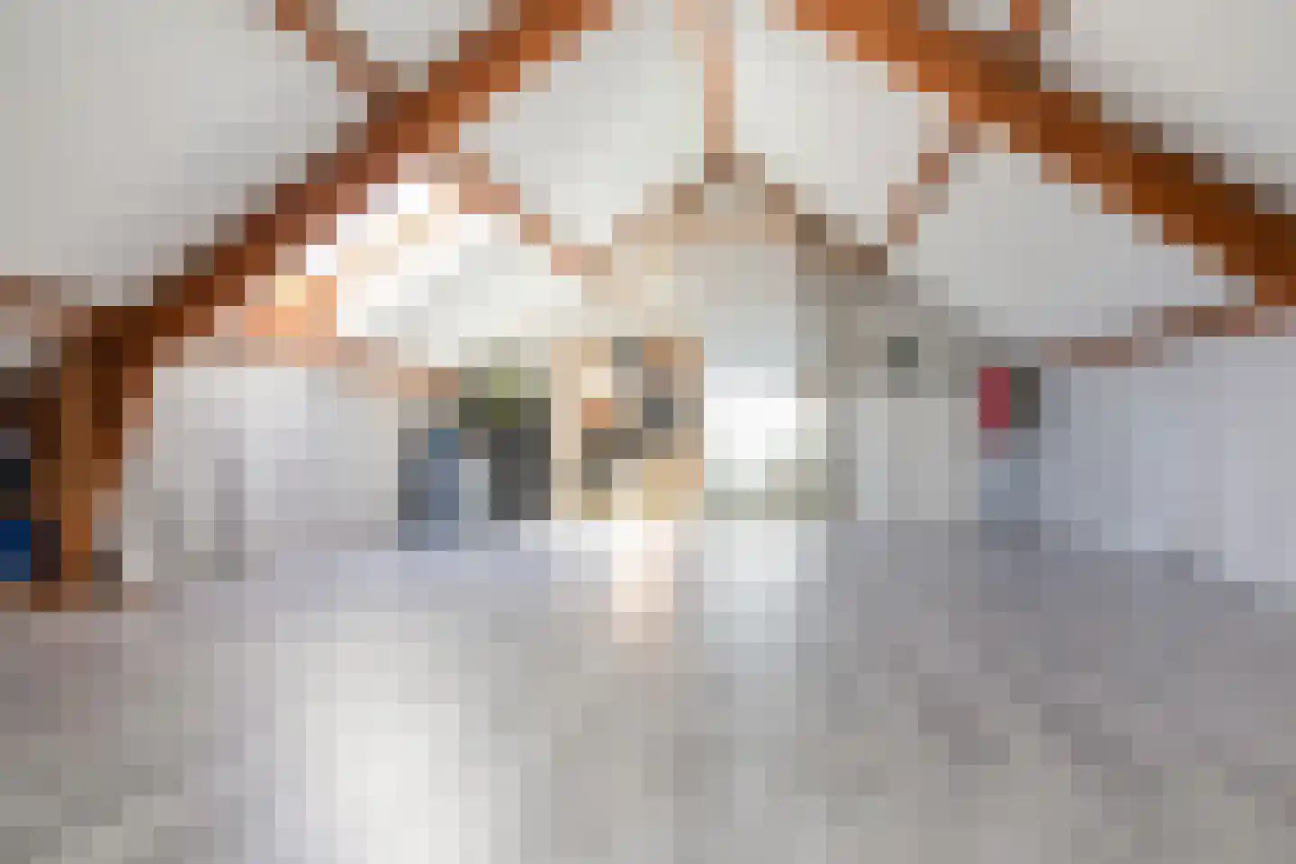 Vossenakkers 8 Heiloo thumbnail 35