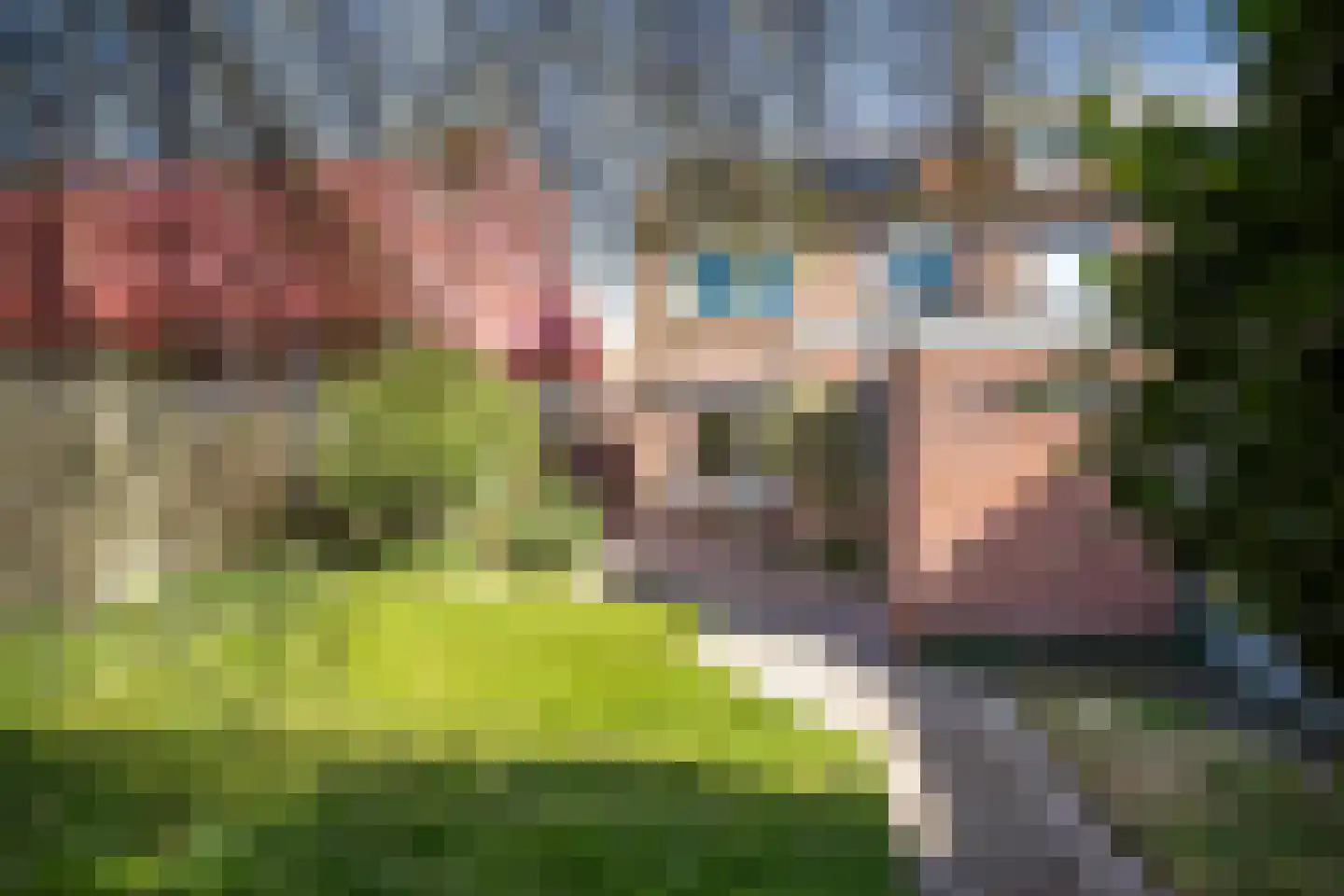 Vossenakkers 8 Heiloo thumbnail 5