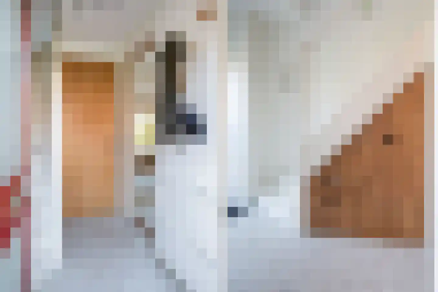 Vossenakkers 8 Heiloo thumbnail 9