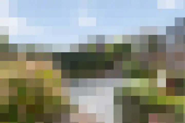 Vossenbeek 28 Borne thumbnail 18