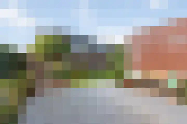 Vossenbeek 28 Borne thumbnail 19