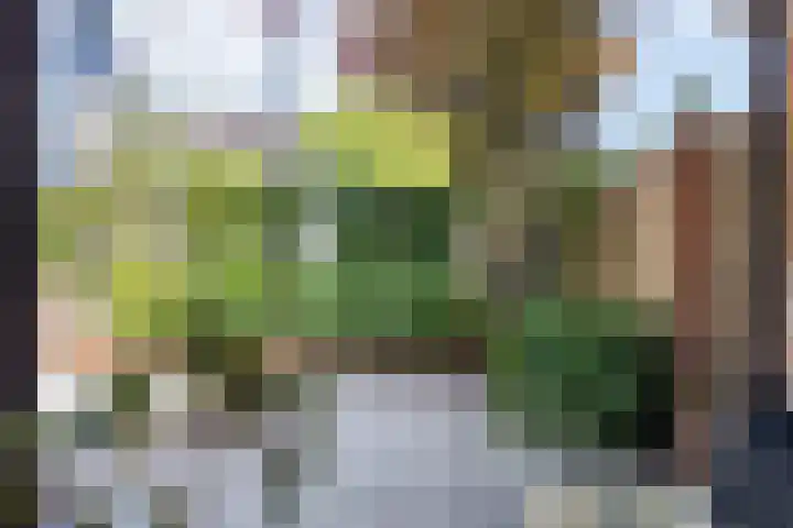 Vossenberg 10 Prinsenbeek thumbnail 31
