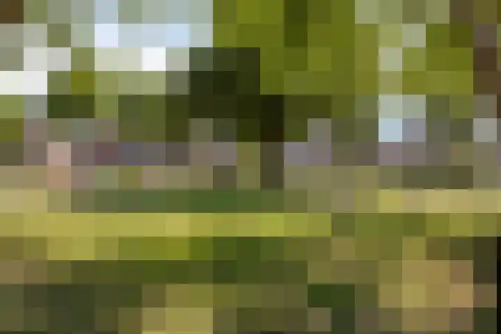 Vossenberg 10 Prinsenbeek thumbnail 34