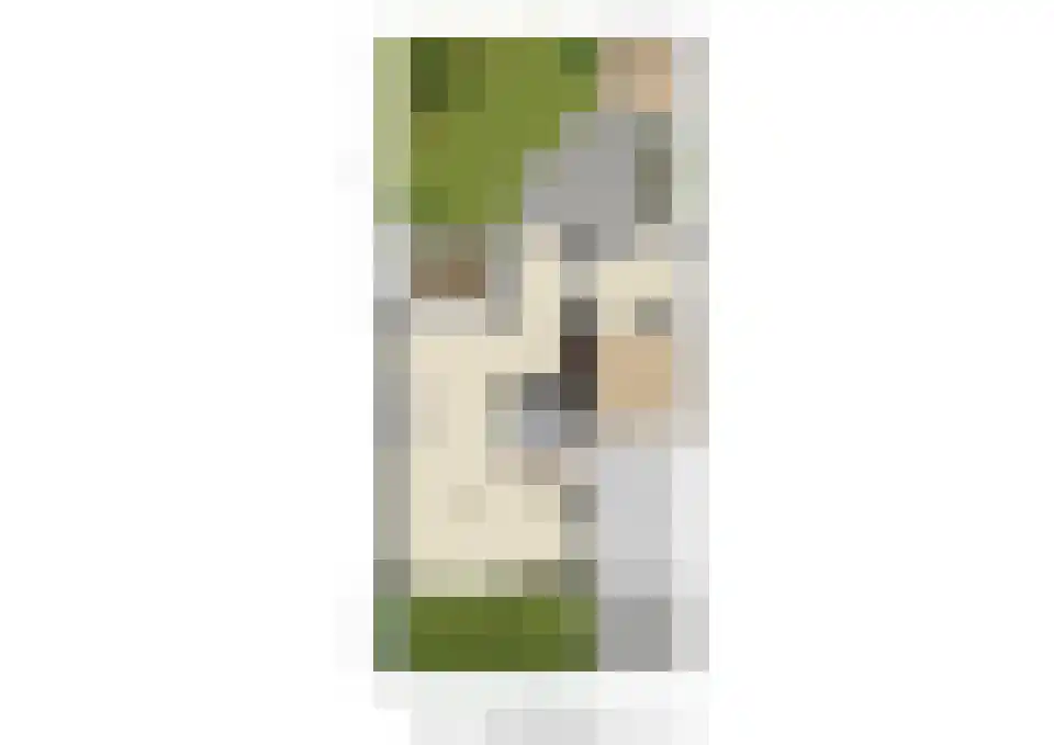 Vossenberg 14 Prinsenbeek thumbnail 41