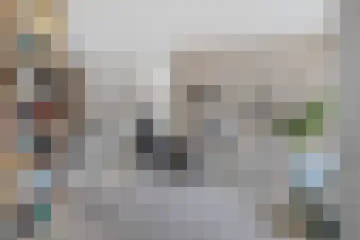 Vossenberg 23 Prinsenbeek thumbnail 16